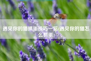 遇见你的猫抓蛋技巧一览(遇见你的猫怎么抓蛋)