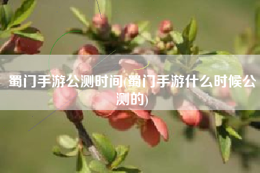 蜀门手游公测时间(蜀门手游什么时候公测的)