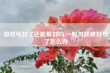 游戏号封了还能解封吗,一般游戏被封号了怎么办