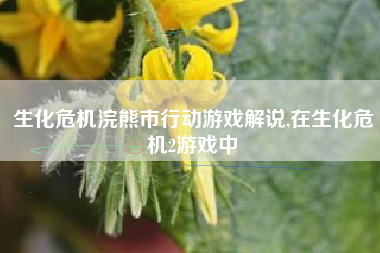 生化危机浣熊市行动游戏解说,在生化危机2游戏中