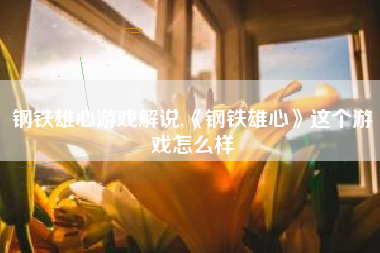钢铁雄心游戏解说,《钢铁雄心》这个游戏怎么样