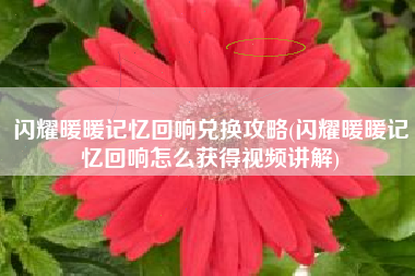 闪耀暖暖记忆回响兑换攻略(闪耀暖暖记忆回响怎么获得视频讲解)