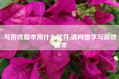 写游戏脚本用什么软件,请问想学写游戏脚本