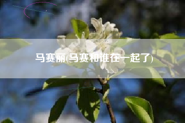 马赛丽(马赛和谁在一起了)