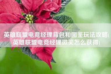 英雄联盟电竞经理背包和图鉴玩法攻略(英雄联盟电竞经理微笑怎么获得)