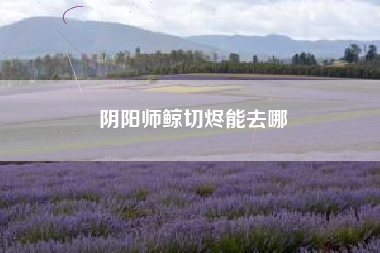 阴阳师鲸切烬能去哪