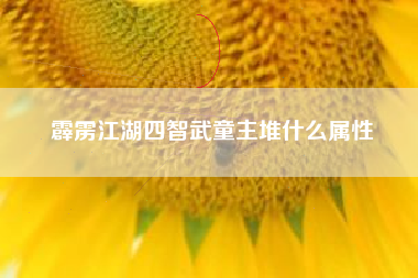 霹雳江湖四智武童主堆什么属性