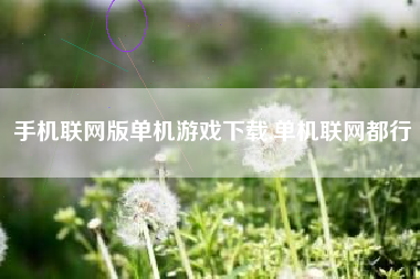 手机联网版单机游戏下载,单机联网都行
