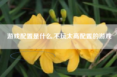 游戏配置是什么,不玩太高配置的游戏