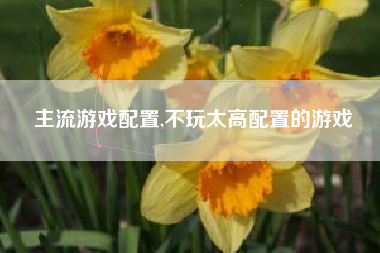 主流游戏配置,不玩太高配置的游戏