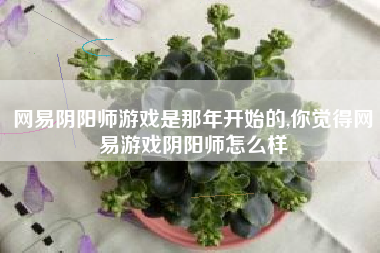网易阴阳师游戏是那年开始的,你觉得网易游戏阴阳师怎么样