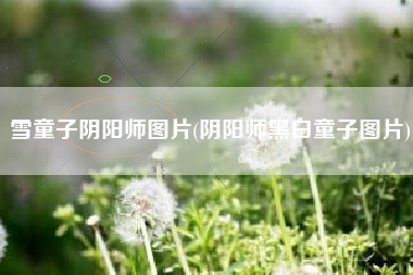 雪童子阴阳师图片(阴阳师黑白童子图片)