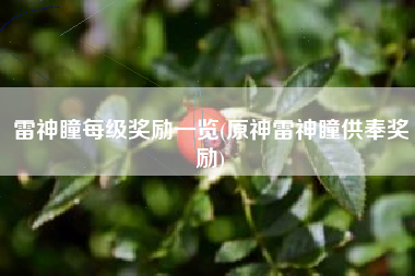 雷神瞳每级奖励一览(原神雷神瞳供奉奖励)