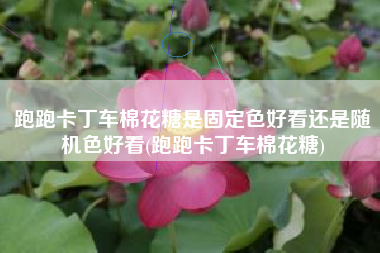 跑跑卡丁车棉花糖是固定色好看还是随机色好看(跑跑卡丁车棉花糖)
