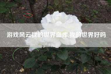 游戏风云我的世界血库,我的世界好吗