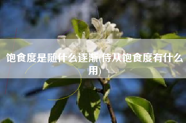 饱食度是随什么逐渐(侍从饱食度有什么用)