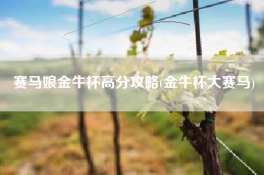 赛马娘金牛杯高分攻略(金牛杯大赛马)