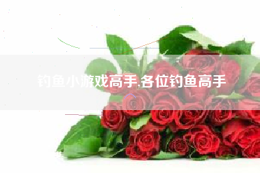 钓鱼小游戏高手,各位钓鱼高手