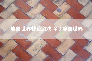 魔兽世界棘花游戏,除了魔兽世界