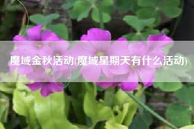 魔域金秋活动(魔域星期天有什么活动)