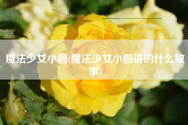 魔法少女小圆(魔法少女小圆讲的什么故事)