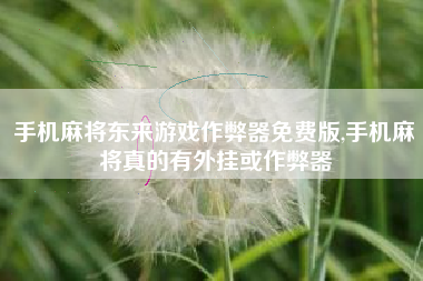 手机麻将东来游戏作弊器免费版,手机麻将真的有外挂或作弊器