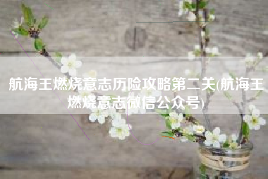 航海王燃烧意志历险攻略第二关(航海王燃烧意志微信公众号)