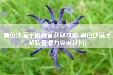 黑色沙漠手游装备获取攻略(黑色沙漠手游装备潜力突破材料)