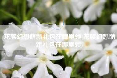 龙族幻想萌新礼包在哪里领(龙族幻想萌新礼包在哪里领)