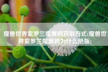 魔兽世界紫罗兰魔翼鸦获取方式(魔兽世界紫罗兰魔翼鸦为什么绝版)