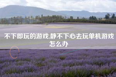不下即玩的游戏,静不下心去玩单机游戏怎么办