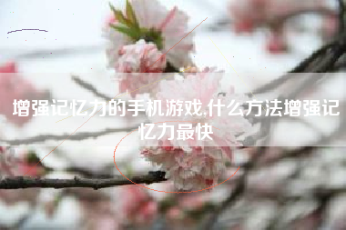 增强记忆力的手机游戏,什么方法增强记忆力最快