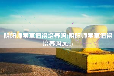 阴阳师莹草值得培养吗(阴阳师莹草值得培养吗2021)