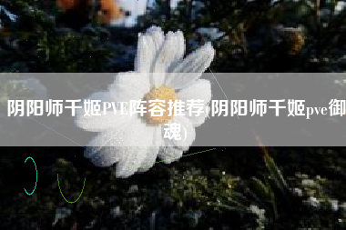 阴阳师千姬PVE阵容推荐(阴阳师千姬pve御魂)