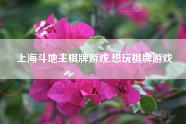 上海斗地主棋牌游戏,想玩棋牌游戏