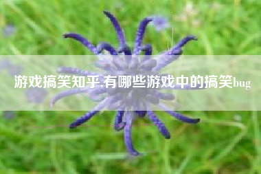 游戏搞笑知乎,有哪些游戏中的搞笑bug