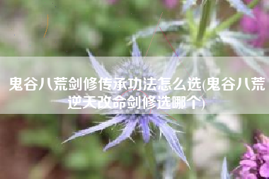 鬼谷八荒剑修传承功法怎么选(鬼谷八荒逆天改命剑修选哪个)