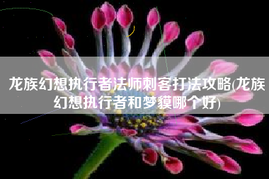 龙族幻想执行者法师刺客打法攻略(龙族幻想执行者和梦貘哪个好)