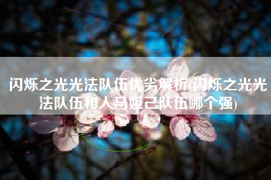 闪烁之光光法队伍优劣解析(闪烁之光光法队伍和人马妲己队伍哪个强)