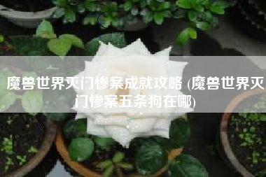 魔兽世界灭门惨案成就攻略 (魔兽世界灭门惨案五条狗在哪)