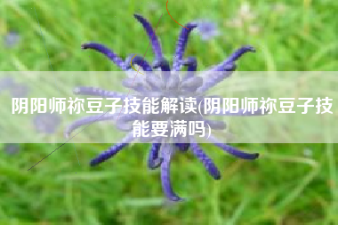 阴阳师祢豆子技能解读(阴阳师祢豆子技能要满吗)