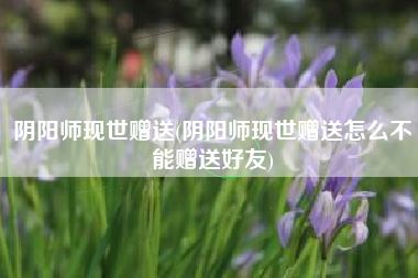 阴阳师现世赠送(阴阳师现世赠送怎么不能赠送好友)
