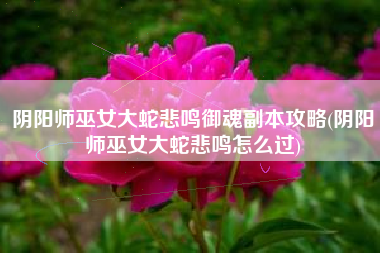 阴阳师巫女大蛇悲鸣御魂副本攻略(阴阳师巫女大蛇悲鸣怎么过)