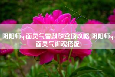 阴阳师sp面灵气雷麒麟登顶攻略(阴阳师sp面灵气御魂搭配)