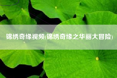 锦绣奇缘视频(锦绣奇缘之华丽大冒险)