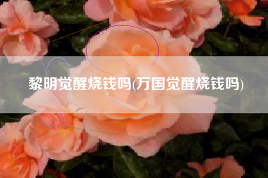黎明觉醒烧钱吗(万国觉醒烧钱吗)