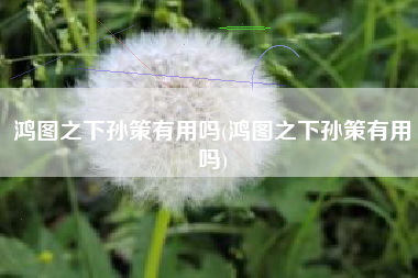 鸿图之下孙策有用吗(鸿图之下孙策有用吗)