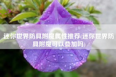 迷你世界防具附魔属性推荐(迷你世界防具附魔可以叠加吗)