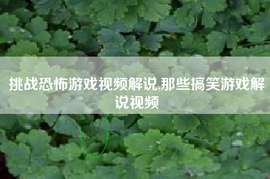 挑战恐怖游戏视频解说,那些搞笑游戏解说视频