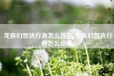 龙族幻想执行者怎么连招(龙族幻想执行者怎么培养)